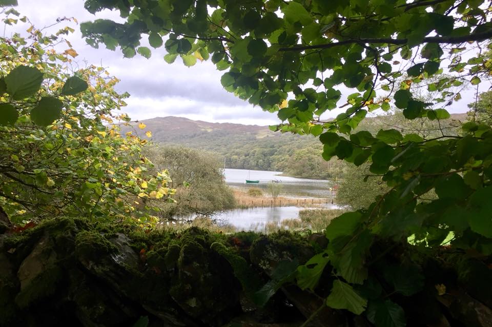 eva through the trees -- test