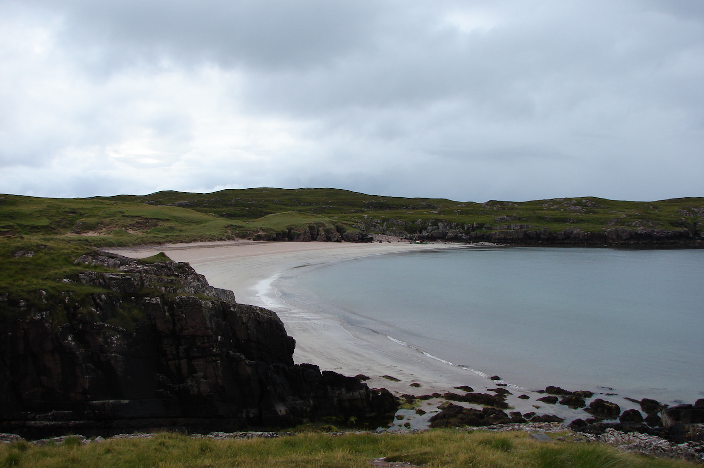 Blending into the background