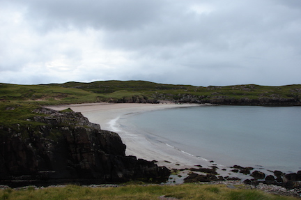 Blending into the background