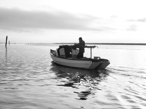 Morning mist on Breydon Water