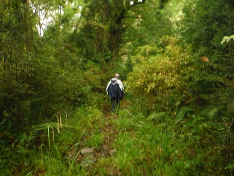 Paradise road quay house